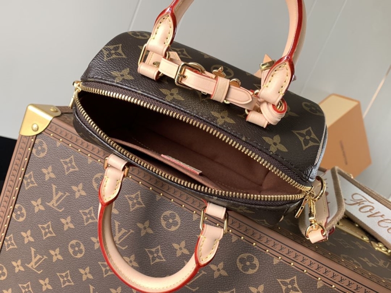 LV Speedy Bags